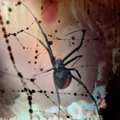 REDBACK (feat. HUEY)
