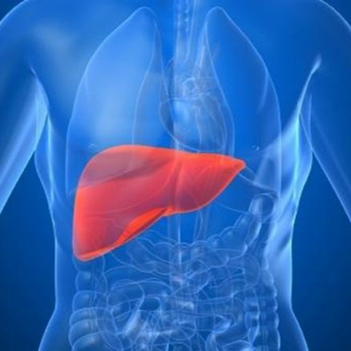 Stream episode Stem Cells: Ability for Liver Regeneration | Dr. David ...