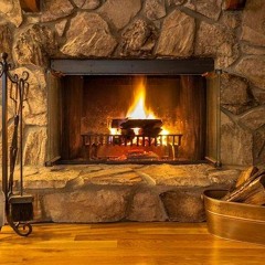 Bold Jackal - My Home