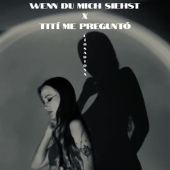 wenn du mich siehst x tití me preguntó ( baile funk rmx )
