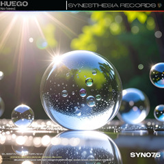 House/Techno Collection [SYNESTHESIA RECORDS]