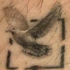 777 Doves