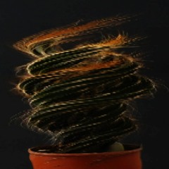 Jovian Jet Stream In Quarantine #2