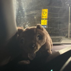 roadtrip ft. reverie, rugee, blank1691, m0rgue, tgwog, toubi, jasey, sutoresu