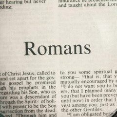 25-11-16_Branches Broken and Grafted