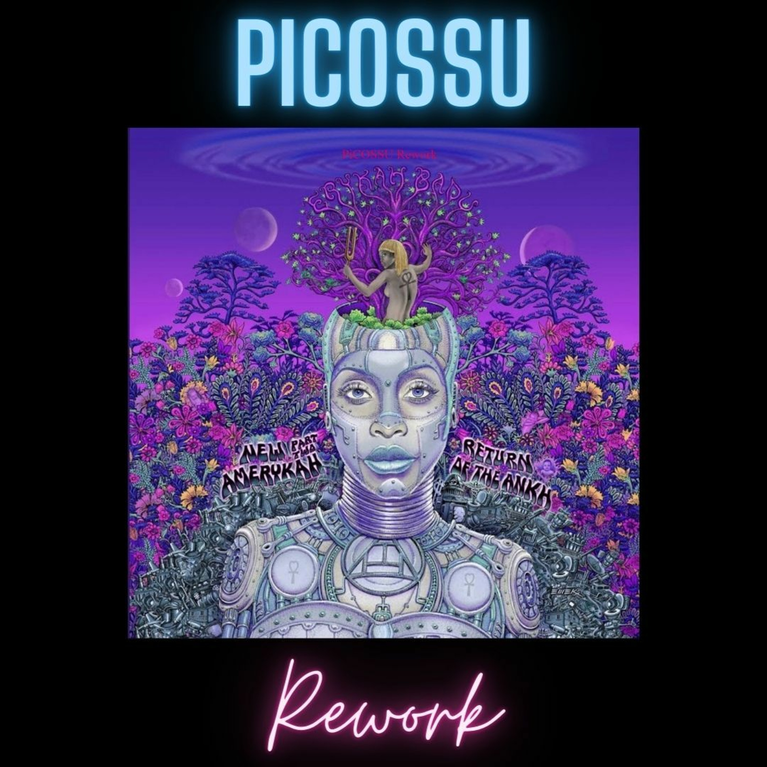 PiCOSSU