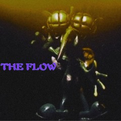 The flow