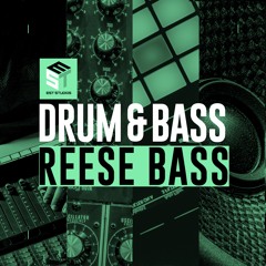 Drum & Bass: Reese Bass