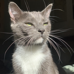 Wish I Had You (not really)