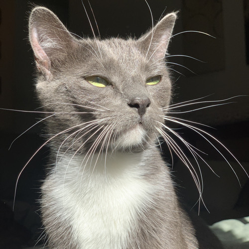 Wish I Had You (not really)