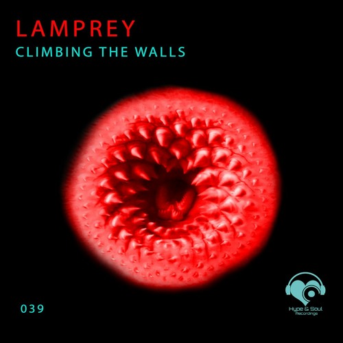 Lamprey - Climbing The Walls (Hype & Soul Recordings)