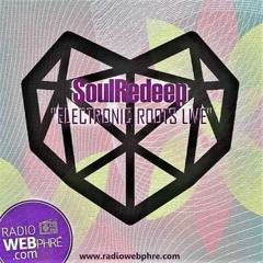 Electronic Roots Live_1 - Scelou MusiQ [Guest mix 2nd]