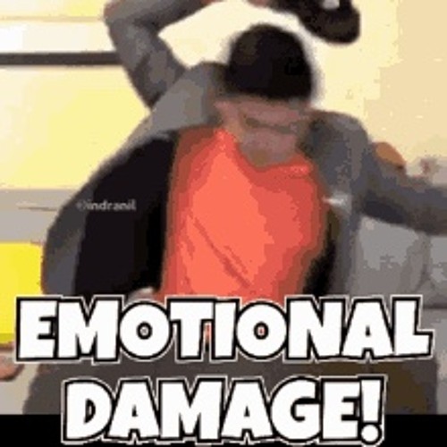 EMOTIONAL DAMAGE ( SCHRANZ MIX )