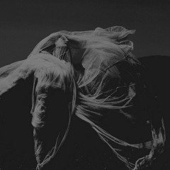 Blessed Messenger   | 10 Aug |