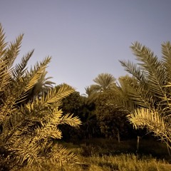 خل يتحضر ناوي على الشر