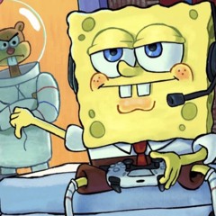 viss - not a flex (visa)