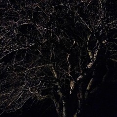 time dialation