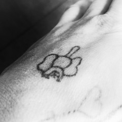 What is it - Ellen Grace Polzer