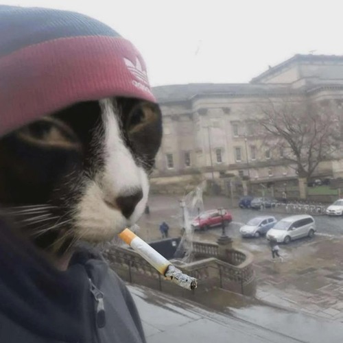 Mashup Không Lấy Được Vợ x Anh Nhắc Em Remix Tiktok