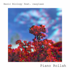 Piano Rollah (feat. caaylaan)