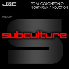 Nighthawk (Extended Mix)