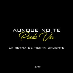 Aunque No Te Pueda Ver
