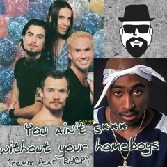 Tupac Shakur (remix Feat. RHCP) - You Ain't S    Without My Friends (remix)
