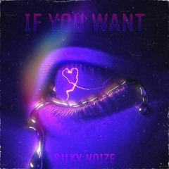 Silky Noize - If You Want