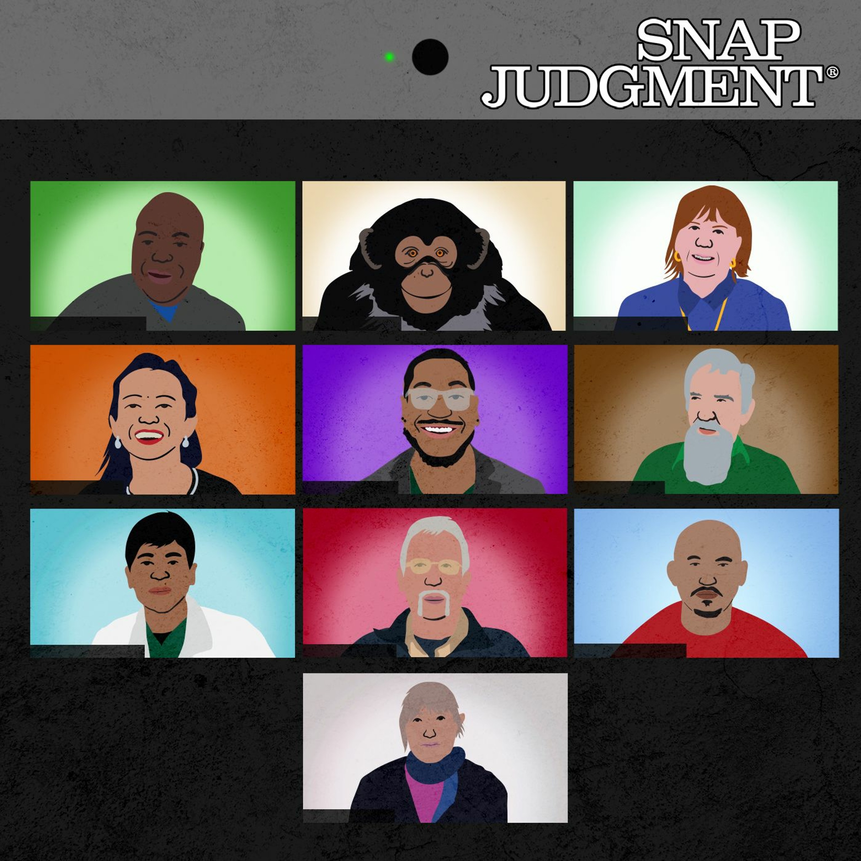 Snap Judgment