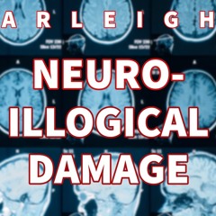 D&BS - Neuro-Illogical Damage