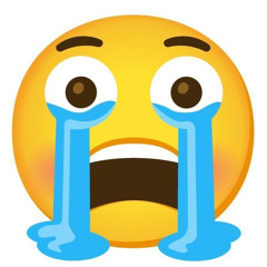 NOO!! NOO!! NO!! NOOO!!!!! - berleezy tiktok audio