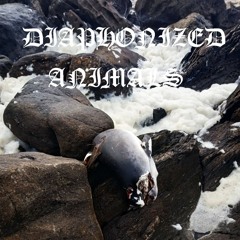 Diaphonized Animals - Postecdysis Hunger