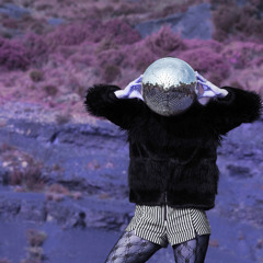 Elevate My Mojo