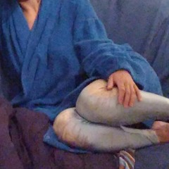 cuarentena voluntaria