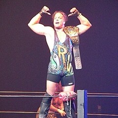 ROB VAN DAM