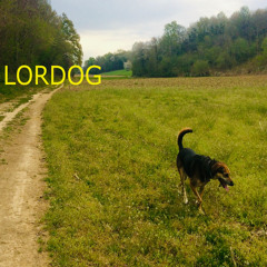 Evitare (feat. nihi)