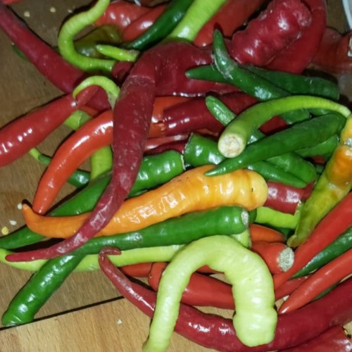 Random Set 007 - Hot Chilis
