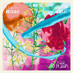 Lucky Rose & Matteo Cole - So High