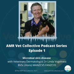 Episode 1 - Microbial Skin Disease with Dr Linda Vogelnest