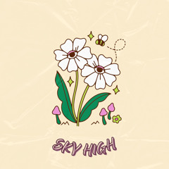Sky High