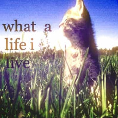 yurr, p2wcate and c7press- what a life i live (prod me)