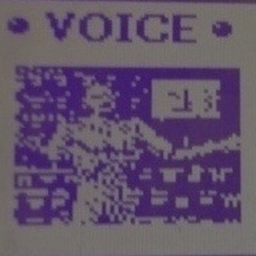 Voice
