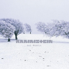 rammstein-kokain but i did the guitar