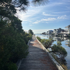 here (cover) - Antoine Bradford