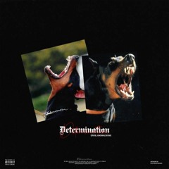Determination (Prod.drob)
