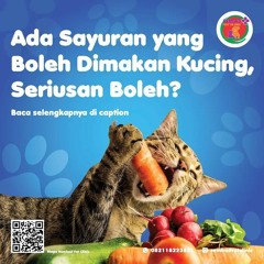 0817-273-670 Dokter Hewan Operasi Kucing Tangerang Selatan, Rambad Vet Clinic