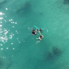 Review Special Price Glass Bottom Boat And Snorkeling Combo In Bermuda
