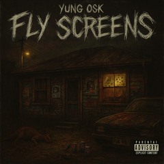 FLY SCREENS (DEMO)