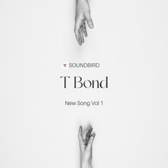 T Bond (Sampler)