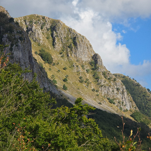 ORTF Orecchiella Nature Reserve Park Field Recording Session 22/8/2025